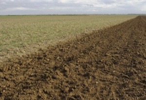 le sol et les pneus de tracteur