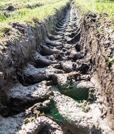 Insporing op natte aarde