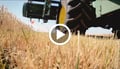 MAXI TRACTION Firestone Harvest Agricultural Tyre
