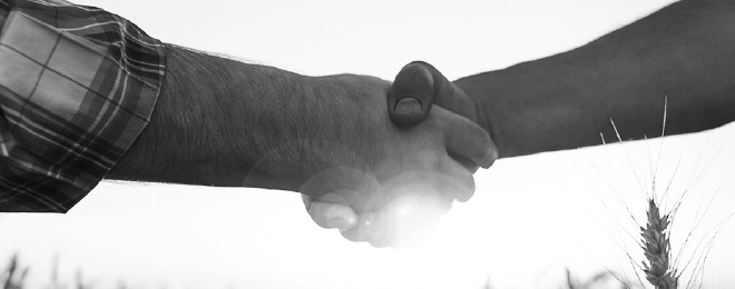 UW GARANTIES UW GARANTIES